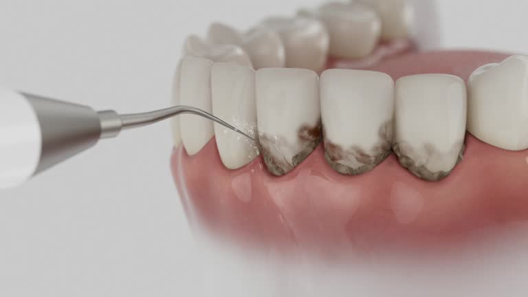 Reliable Dental contractor in Heritage Lake, IL by Dentist Open Now